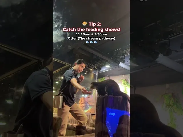 Aquaria KLCC  Hack Perjalanan